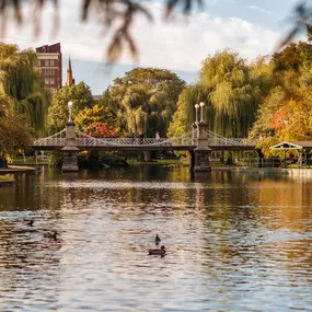 Bild von Four Seasons Hotel Boston