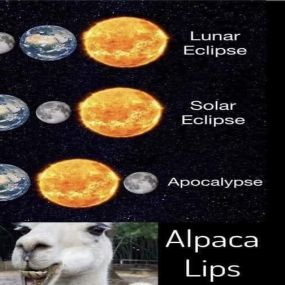 Anyone making a special trip to see the eclipse??