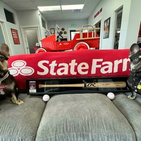 Billy Costello - State Farm Insurance Agent