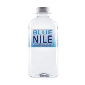 Blue Nile Water