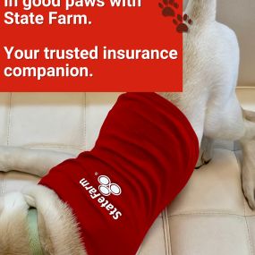 In good paws with State Farm. 

Your trusted insurance companion.