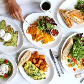 Overhead image featuring avocado toast, salad, omelette, and panini with fork