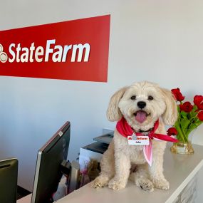 Craig Martin - State Farm Insurance Agent