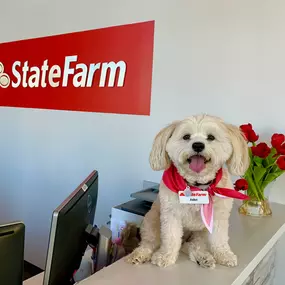 Craig Martin - State Farm Insurance Agent