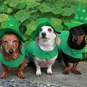 Secure your pot of gold, call us for a free quote today!