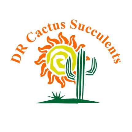 Logo fra DR Cactus Succulents