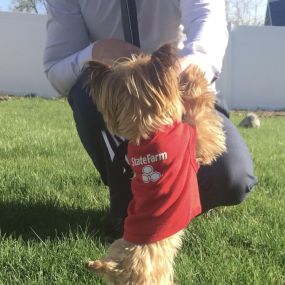 Who wants State Farm swag for their pups too?!