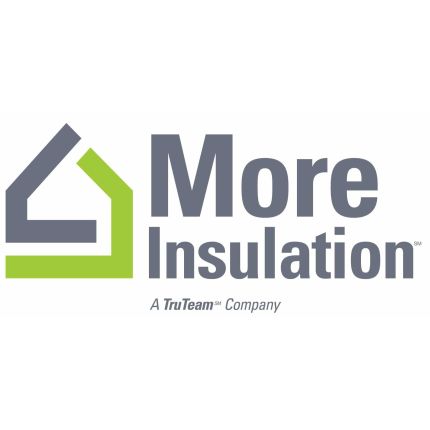 Logo von More Insulation