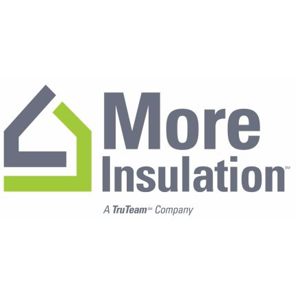 Logo from More Insulation