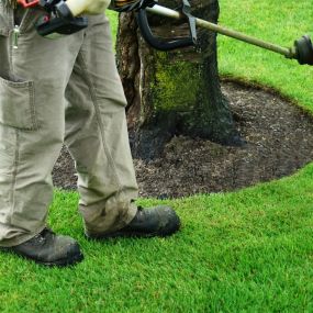 Shrub Pruning and Edging