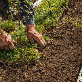 Soil Conditioning Specially Designed for Your Property