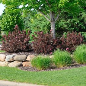 Professional Plant Care for Your Commercial Landscape