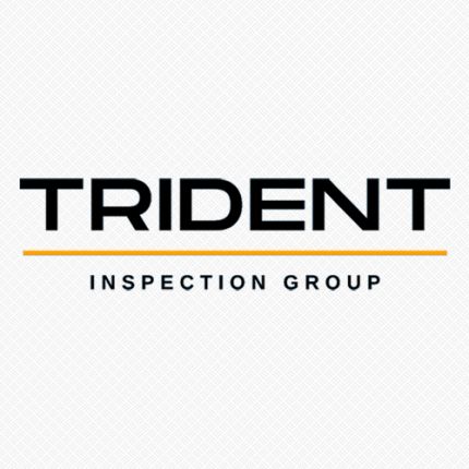 Logótipo de Trident Inspection Group