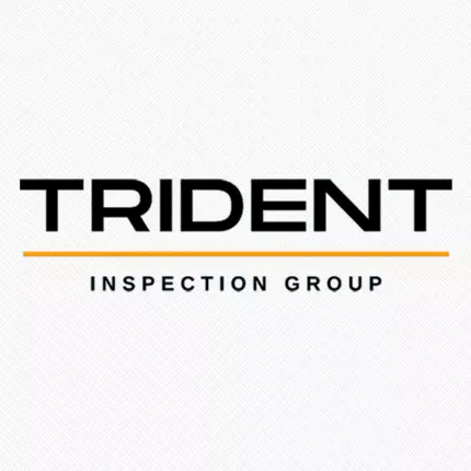 Logo van Trident Inspection Group