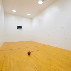 Indoor Sports Courts at Belmont Ridge Apartments