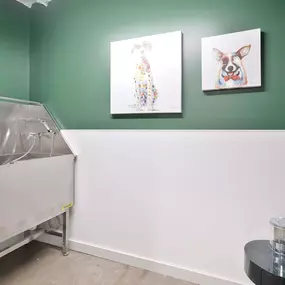 Pet wash station