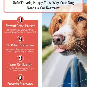 This National Pet Day, let’s keep tails wagging—and everyone safe!
Whether it’s a trip to the park or a cross-country adventure, securing your dog in the car isn’t just smart—it’s essential. From preventing injuries to avoiding distractions, a car restraint helps you travel safer and worry-free.
Because our four-legged copilots deserve the same care we give everyone else in the car.