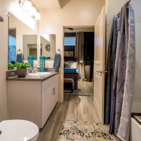 Deluxe Bathroom