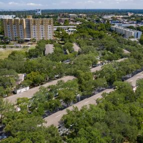 Green Neighborhood