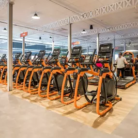 Bild von Basic-Fit 24/7
