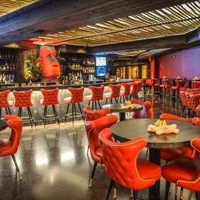 trendy old town scottsdale restaurants