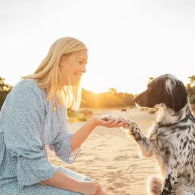 Bild von persodog Mensch-Hund Coaching - Felicitas Engel