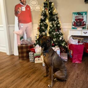 Santas helper is ready with Jake at Shannon Rikard State Farm insurance agents office Columbia, SC