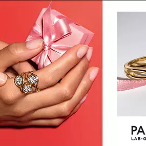 We're excited to announce the launch of Pandora's stunning Lab Diamond collection, now available at Belle Jewelers!  We are one of the select few Shop in Shops to carry the Pandora Lab Diamonds!!!