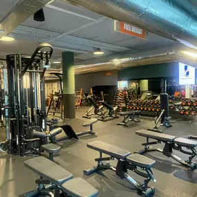 Basic-Fit Nieuwegein Raadstede - free weight zone