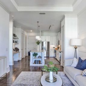 Living Room with Open Kitchen