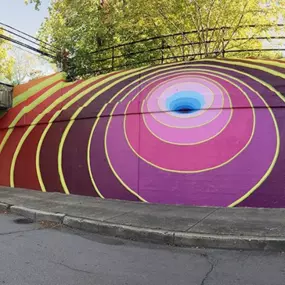 Exploring Evanston's vibrant streets is like stepping into an outdoor gallery! Be sure to check out these beautiful murals while you're out and about this spring.