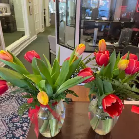 We may be in the middle of winter, but these beautiful tulips from Preston's Florist are giving the office just enough of that spring feeling!