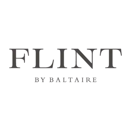 Logo od FLINT by Baltaire