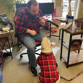 FINESSE is HERE! Manchester Animal Shelter  has brought this sweet boy in; He is available for adoption and ready to meet you today! He is enjoying treats from Gunther's Goodies  and just like Jason he likes Flannel too!