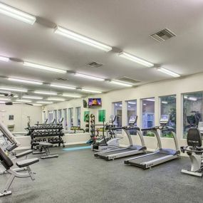 Modern Fitness Center