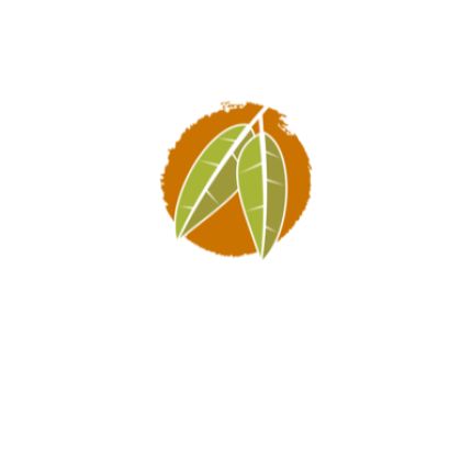 Logo da Mango Terrace