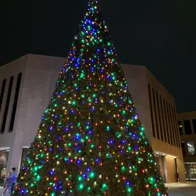 Christmas in Naperville!