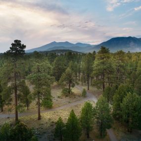 Hiking trail just outside of Little Ameria Flagstaff hotel.