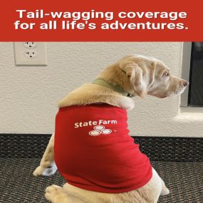 Gus Simeon - State Farm Insurance Agent