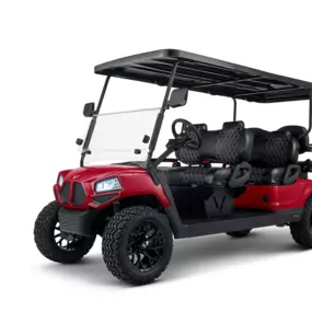 Golf carts and LSVs from Vivid EV!