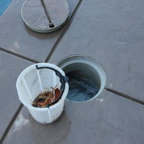 Bild von Premier Pool Service | Fishers/Carmel