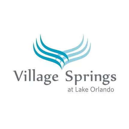 Logo de Village Springs