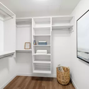 Bild von Next on Lex