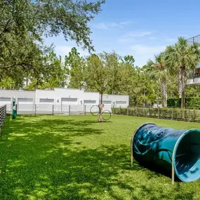 Dog Park