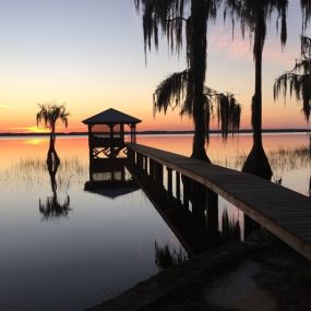 Alachua County is hom to some of the most amazing parks, lakes, rivers and so much more.