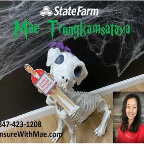 Bild von Mae Trongkamsataya - State Farm Insurance Agent