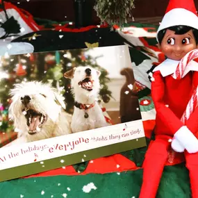 Elfie may be causing mischief this holiday season, but one thing you don’t want to gamble with is your family's future. One of the best gifts you can give them is knowing they’re covered – no matter what life brings.