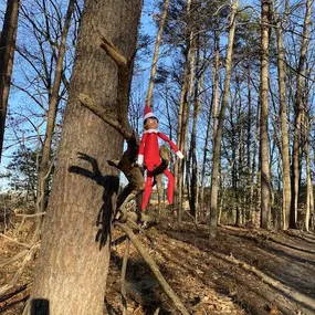 Elfie goes out on a limb, to make your day an interesting one.