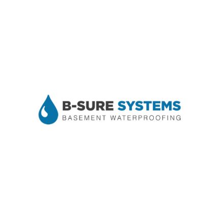 Logotyp från B-Sure Systems, Inc.