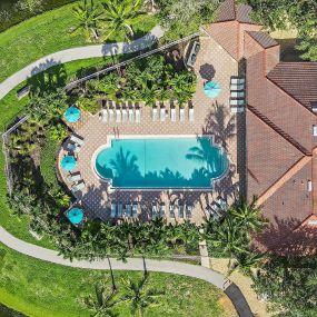 Aerial View of Swimming Pool